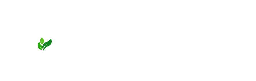 Cluster Economía Circular